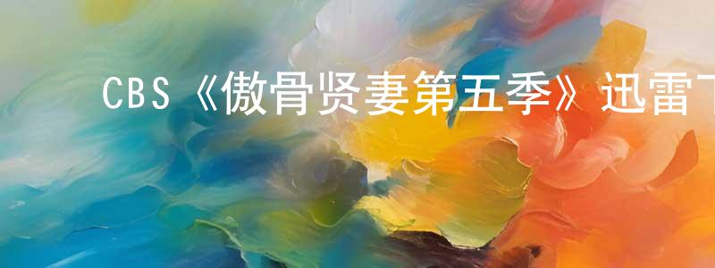 陈梓健发布CBS《傲骨贤妻第五季》迅雷下载/在线观看/百度云-都市/情感-美剧天堂